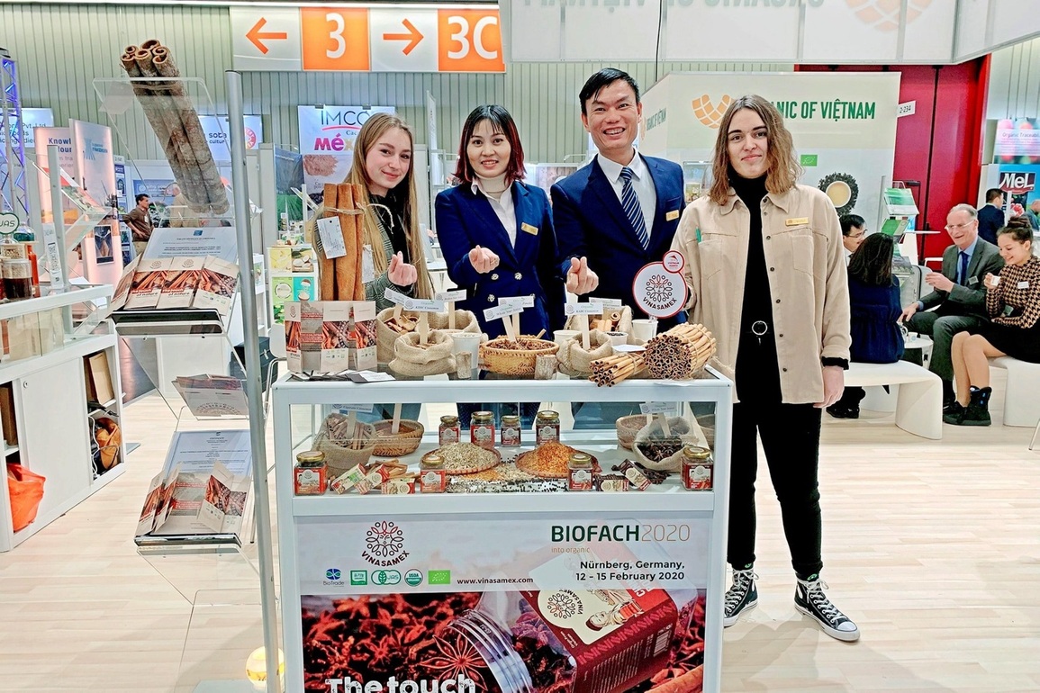 Quế, hồi Việt Nam: Chuyện về ngành xuất khẩu trị giá trăm triệu đô - 3 Quế, hồi Việt Nam: Chuyện về ngành xuất khẩu trị giá trăm triệu đô - 3