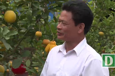 Gặp “phù thuỷ" tạo cây ra năm thứ quả