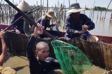 Khám phá Sông Đầm và cùng người dân thu hoạch cá