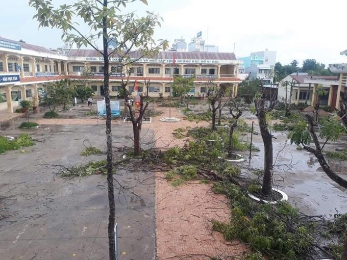 Người dân thành phố hoa phượng đỏ ủng hộ lựa chọn giải pháp bảo đảm an toàn nhưng không “lạm sát” cây xanh - Ảnh 1. Người dân thành phố hoa phượng đỏ ủng hộ lựa chọn giải pháp bảo đảm an toàn nhưng không “lạm sát” cây xanh - Ảnh 1.