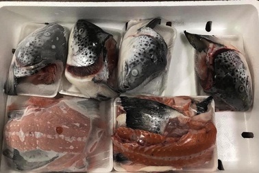 Xương, vụn cá hồi giá siêu rẻ: Khách mua tới tấp, dân buôn ngày bán trăm bộ