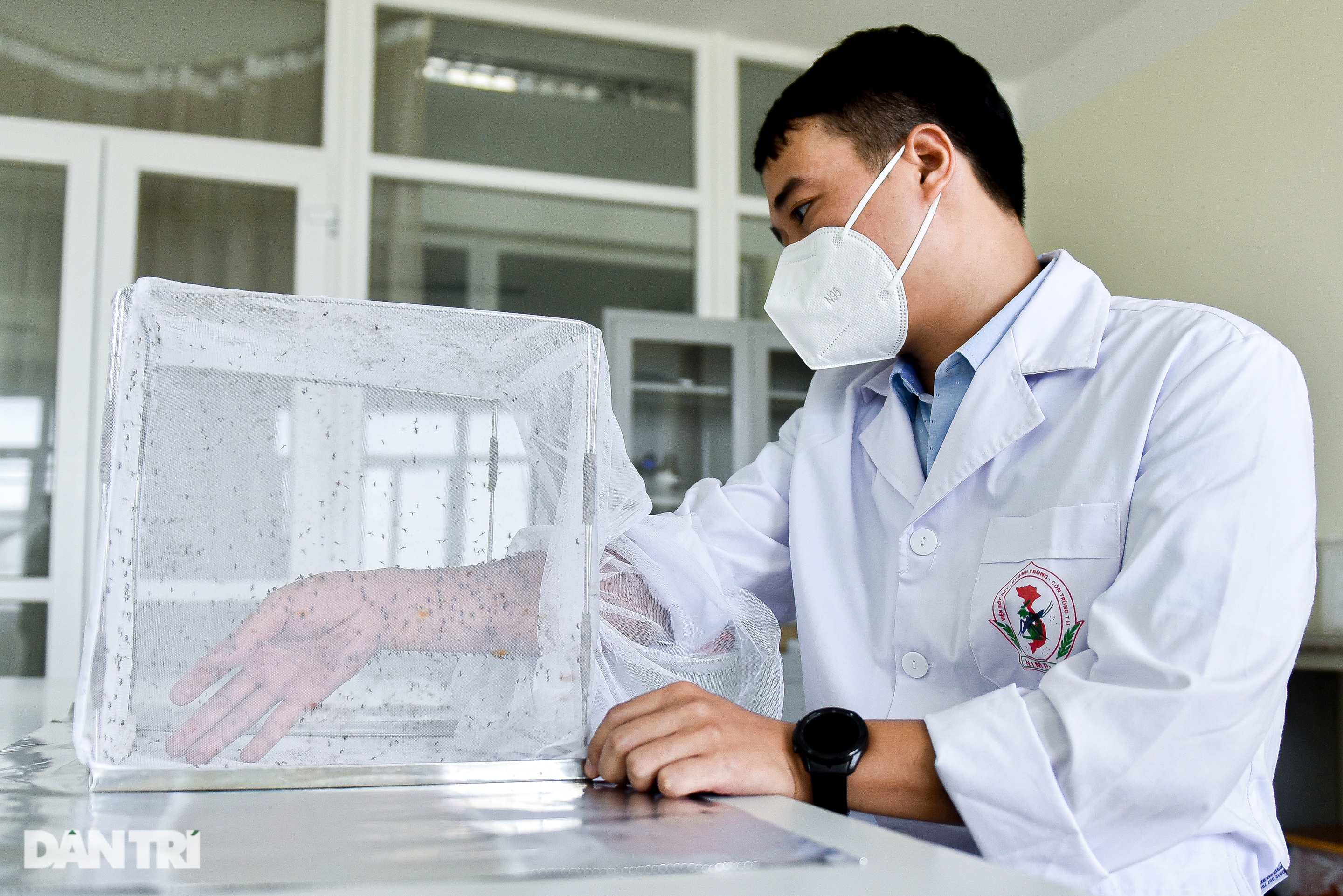 Lạ lùng nghề ngồi im cho muỗi đốt, hàng trăm con bâu đen kịt tay ở Hà Nội - 1 Lạ lùng nghề ngồi im cho muỗi đốt, hàng trăm con bâu đen kịt tay ở Hà Nội - 1