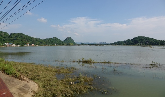 Người dân tại thôn Quèn Thị không còn bị nước lũ cô lập nhưng nước vẫn còn ngập trắng cánh đồng.