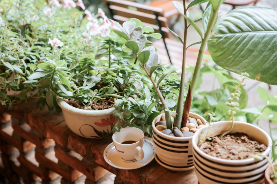 Cặp vợ chồng ở Hà Giang tự xây ngôi nhà hoa hồng đẹp như mơ giữa phố núi - 5 Cặp vợ chồng ở Hà Giang tự xây ngôi nhà hoa hồng đẹp như mơ giữa phố núi - 5