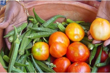 Độc đáo với "tủ lạnh" không sử dụng điện