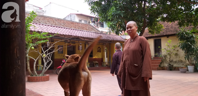 Sự thật những đứa trẻ cần được giải thoát vì bị sư trụ trì hành hạ, đánh đập tàn bạo mỗi tối ở Hà Nội - Ảnh 6. Sự thật những đứa trẻ cần được giải thoát vì bị sư trụ trì hành hạ, đánh đập tàn bạo mỗi tối ở Hà Nội - Ảnh 6.