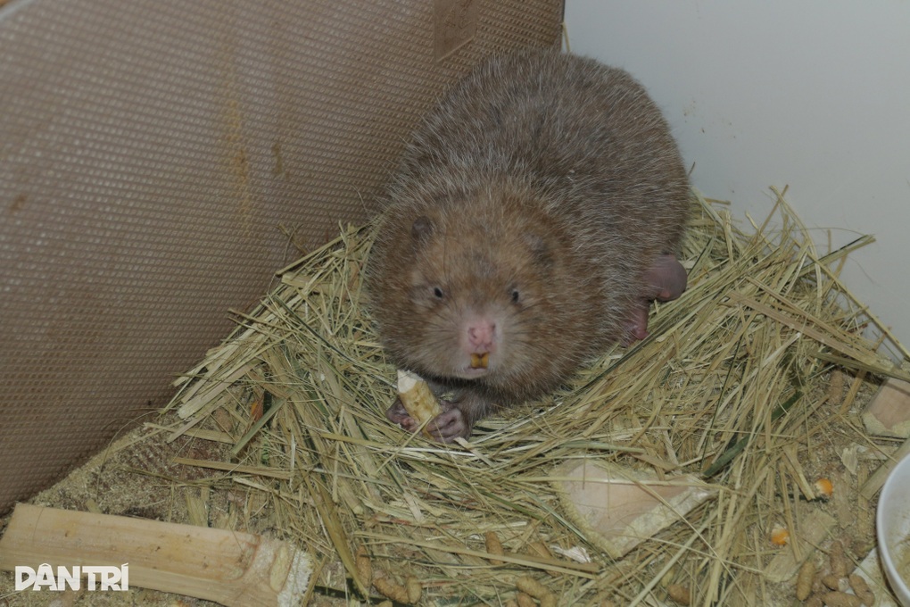 Bước ngoặt không ngờ của chàng trai mất việc vì Covid-19 - 4 Bước ngoặt không ngờ của chàng trai mất việc vì Covid-19 - 4