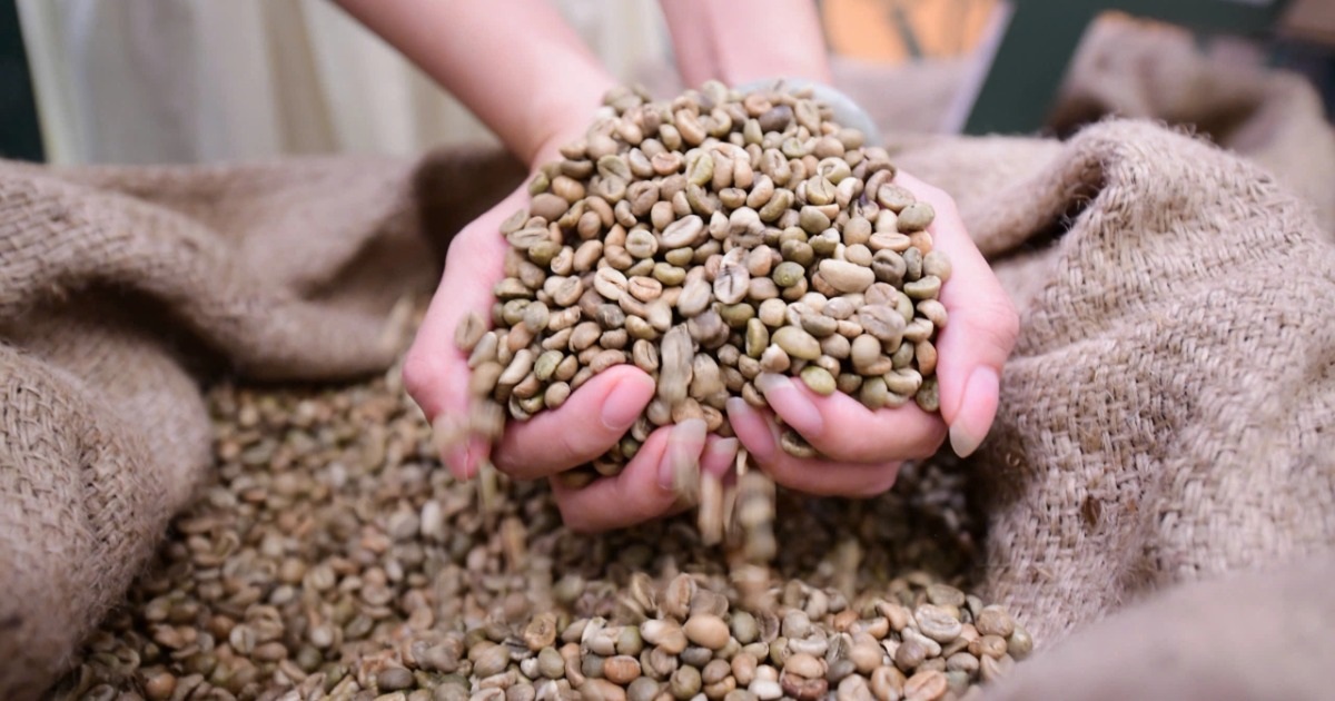 Cà phê Robusta Việt chiếm 2/5 sản lượng thế giới, sao khách chưa nhớ tên?