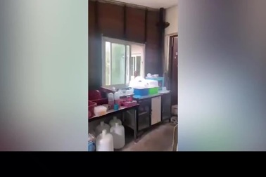 Chủ nhà đứng tim khi rắn hổ chúa thò đầu vào từ cửa sổ