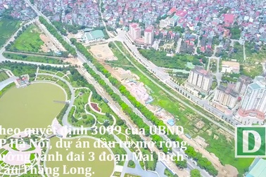 Cận cảnh tuyến đường Hà Nội chặt hạ hơn 1300 cây xanh