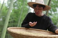 Chán cuộc sống ngột ngạt nơi phố thị, giám đốc gây ngỡ ngàng khi về quê... chăn vịt