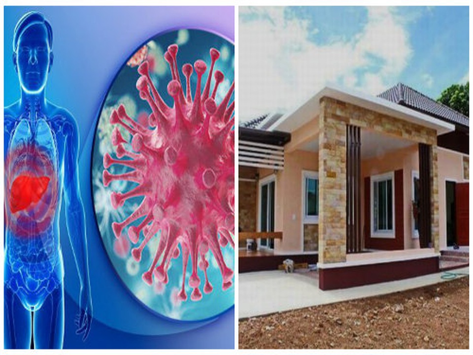 Có thể mắc ung thư máu do hóa chất độc hại trong nhà mới xây hoặc sửa chữa - 1 Có thể mắc ung thư máu do hóa chất độc hại trong nhà mới xây hoặc sửa chữa - 1