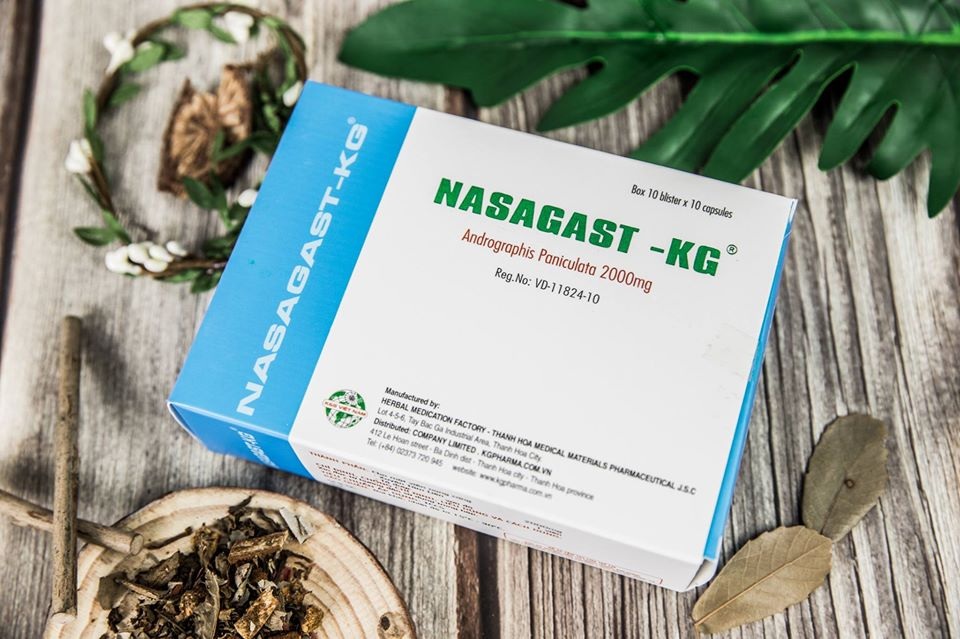 Chuyên gia y học cổ truyền làm sáng tỏ công dụng chữa bệnh của thảo dược Xuyên tâm liên - 4 Chuyên gia y học cổ truyền làm sáng tỏ công dụng chữa bệnh của thảo dược Xuyên tâm liên - 4