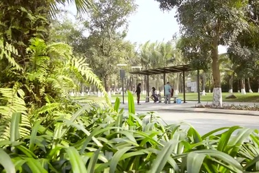 Hình ảnh thực tế căn hộ nhỏ tiện nghi West Bay, Ecopark có giá dưới 1 tỷ đồng