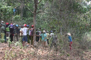 Phát hiện thi thể người đàn ông đang phân hủy trong rừng