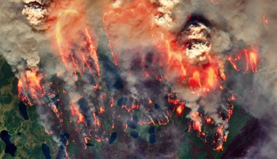 “Đám cháy xác sống” bùng phát ở Bắc Cực - 1