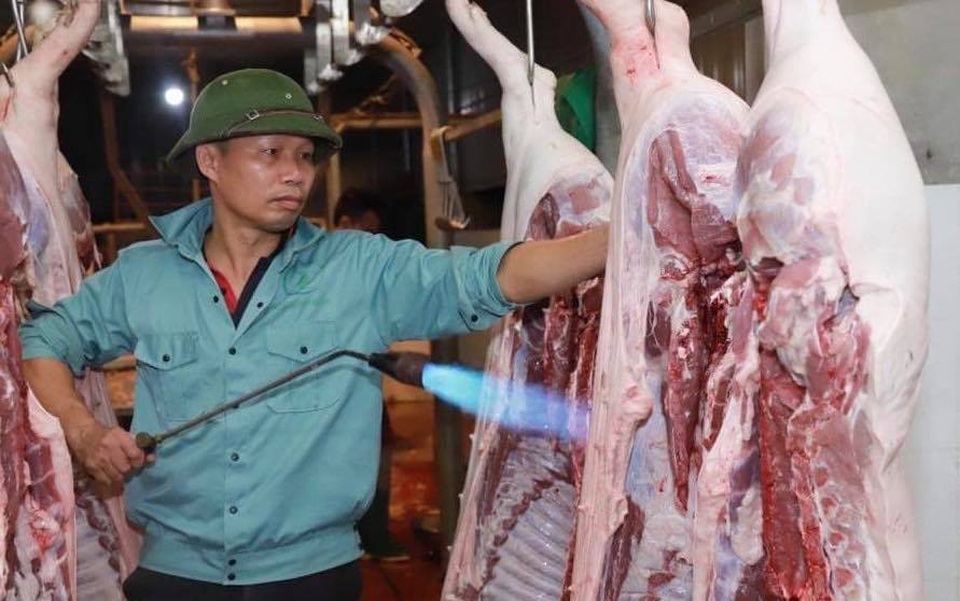 Giá heo lại lập đỉnh, thịt nhập loạn giá - 1 Giá heo lại lập đỉnh, thịt nhập loạn giá - 1