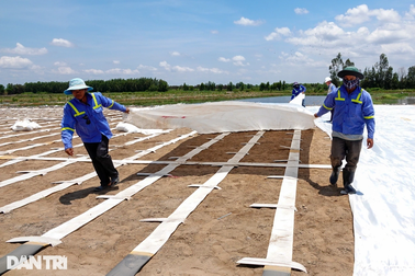 "Vượt nắng, thắng mưa" thi công cao tốc Cần Thơ - Cà Mau