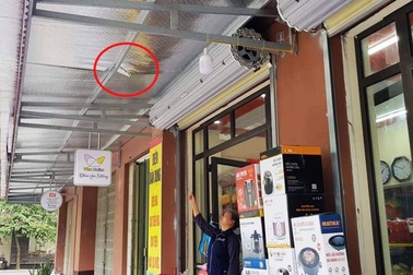 Bé trai thoát chết kỳ diệu, hoàn toàn lành lặn sau khi rơi từ tầng 8