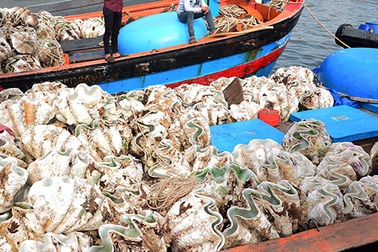 Được tiền tỉ từ sò tượng