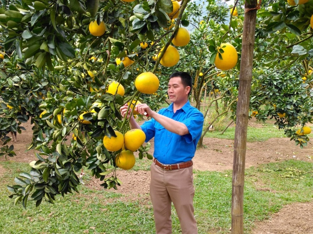 Huyện Kim Bôi chăm lo đời sống cho đồng bào dân tộc thiểu số - 1 Huyện Kim Bôi chăm lo đời sống cho đồng bào dân tộc thiểu số - 1