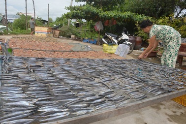 Nhiều tỉnh vẫn cấm tàu thuyền ra khơi sau bão số 16