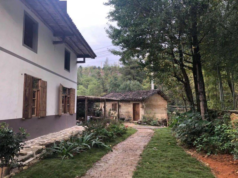 Chán cuộc sống phố thị, cô gái lên núi làm căn nhà nhỏ ngập hoa lá - 3