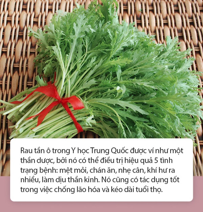 "2 rau 1 quả 1 hạt" có vị đắng sẽ giúp bạn đẩy lùi hàng loạt căn bệnh do nắng nóng gây ra, mừng nhất là phòng tránh được đột quỵ do sốc nhiệt - Ảnh 2.