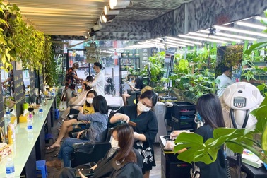 Người đàn ông "biến" tiệm tóc thành vườn kiểng, nhiều cây giá trăm triệu