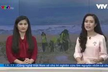 Gom rác bảo vệ du lịch xứ "hoa vàng trên cỏ xanh"