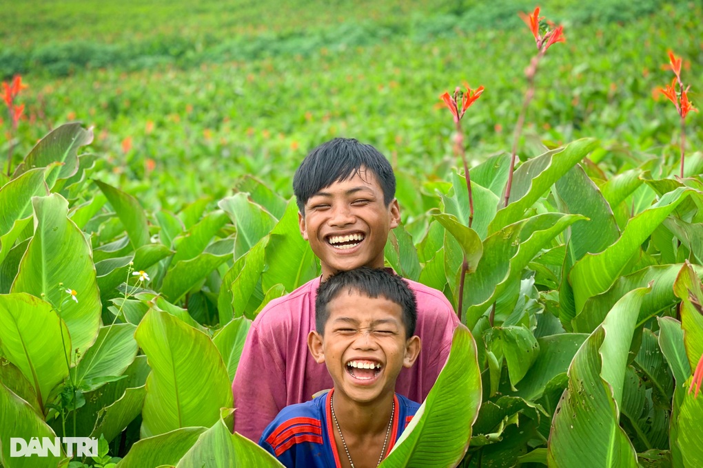 Mùa hoa dong riềng thắp đỏ núi lửa Chư Đang Ya - 4 Mùa hoa dong riềng thắp đỏ núi lửa Chư Đang Ya - 4