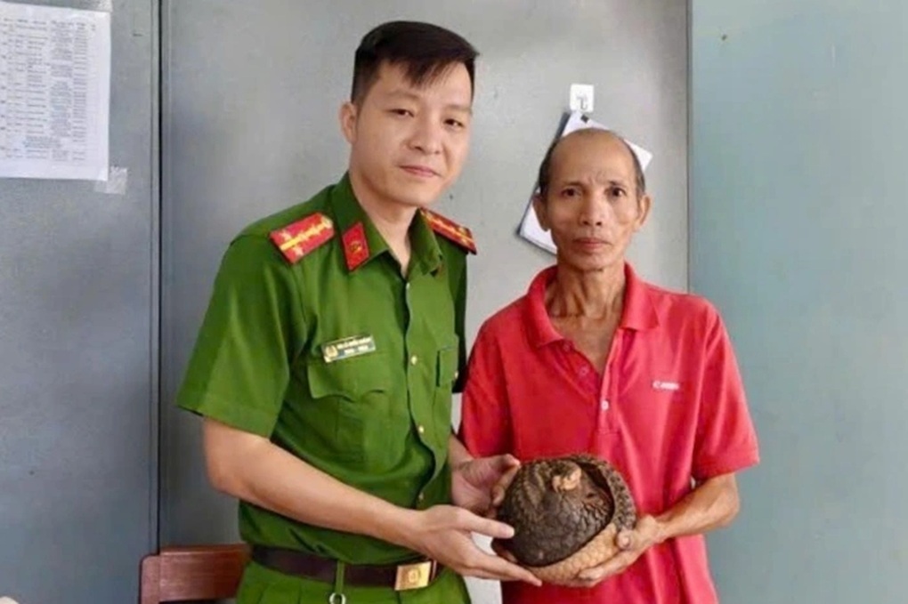 Tê tê quý hiếm bò vào sân nhà dân ở Gia Lai - 1 Tê tê quý hiếm bò vào sân nhà dân ở Gia Lai - 1