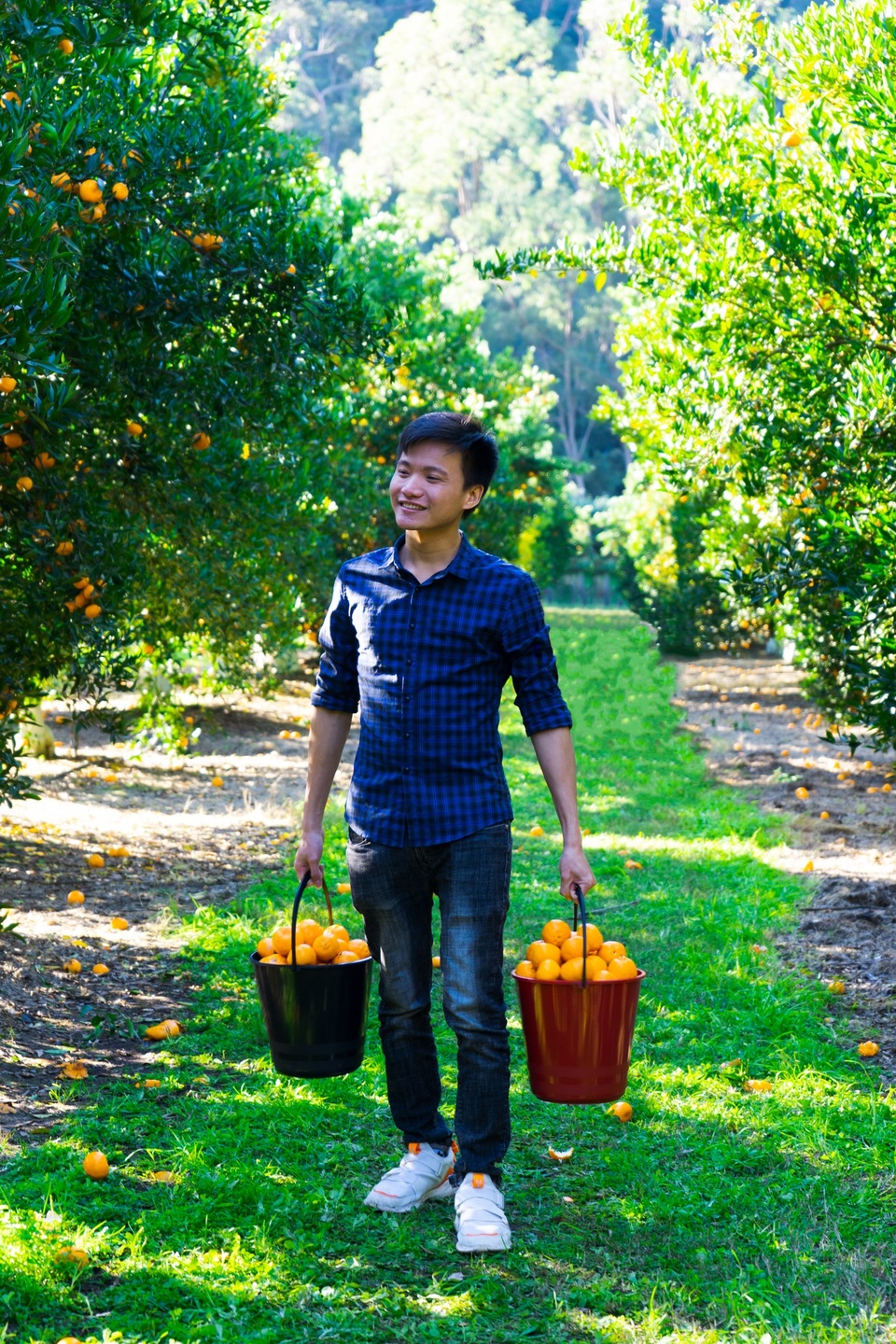 Thành tích đáng nể của SV Bách khoa Hà Nội thổi sáo bằng cuống lá đu đủ - 3 Thành tích đáng nể của SV Bách khoa Hà Nội thổi sáo bằng cuống lá đu đủ - 3