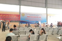 Thanh Hoá: Hơn 1.500 người tham gia Phiên Giao dịch việc làm lần thứ 14