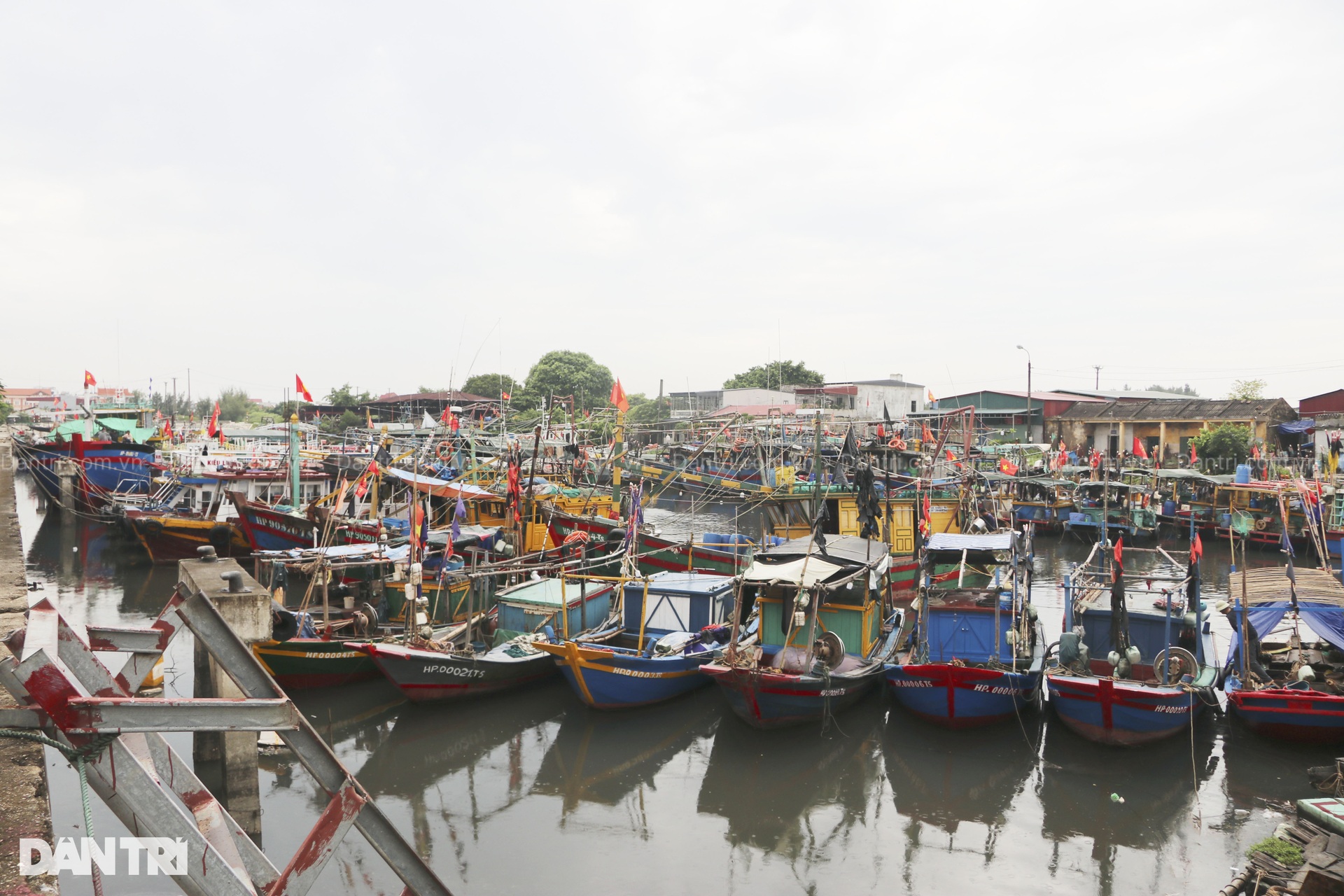 Ngư dân Hải Phòng lo lắng trước khi bão Yagi đổ bộ vào đất liền - 12 Ngư dân Hải Phòng lo lắng trước khi bão Yagi đổ bộ vào đất liền - 12