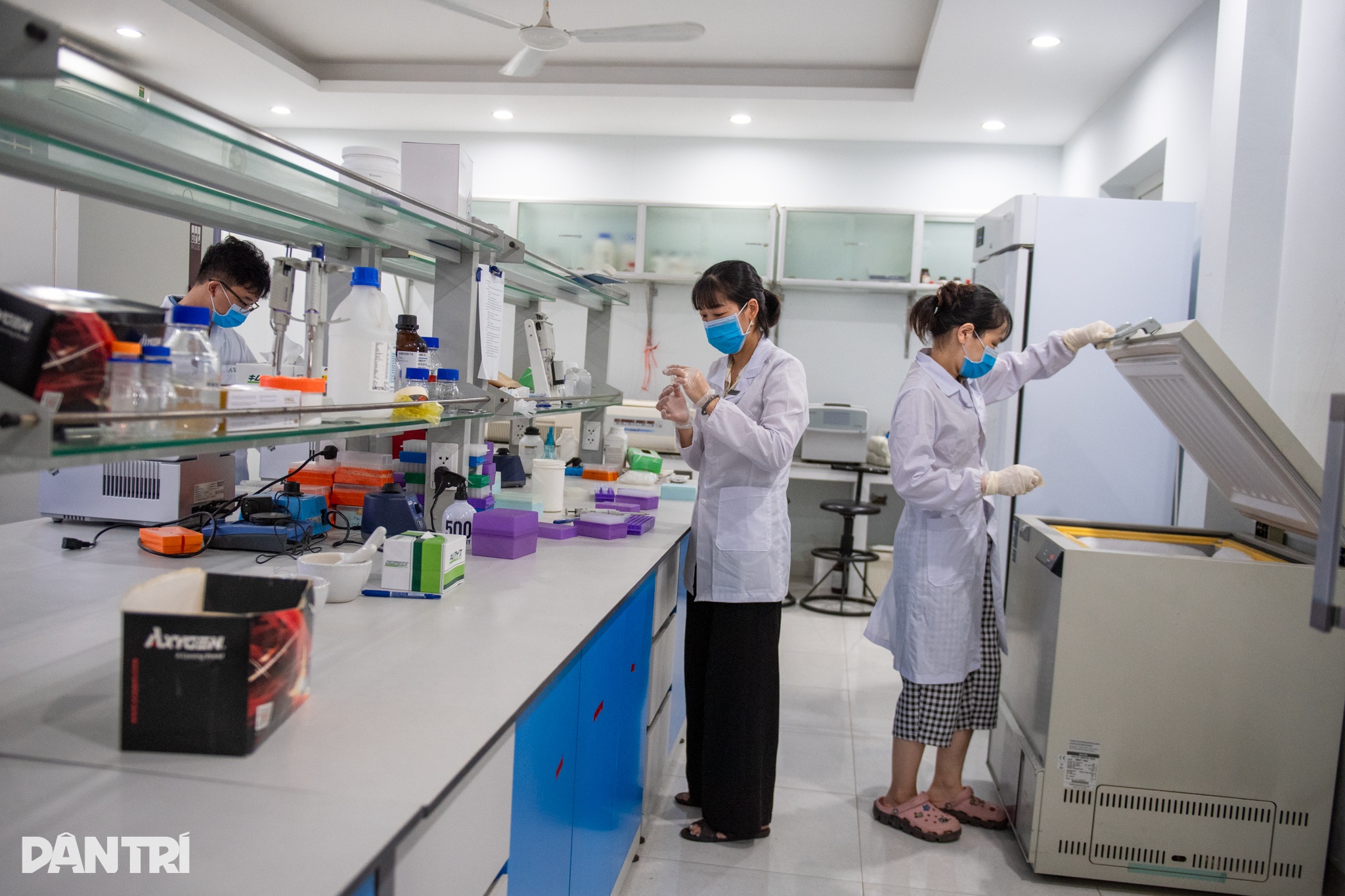 Giải mã gen tìm tầm vóc của cây lúa Việt trong kỷ nguyên mới - 7