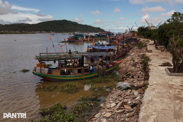 Các chủ tàu thuyền hoạt động trên biển cần cập nhật tình hình bão Ragasa