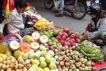 Mỗi ngày người Việt "móc hầu bao" 58 tỷ đồng ăn rau quả Trung Quốc, Thái Lan