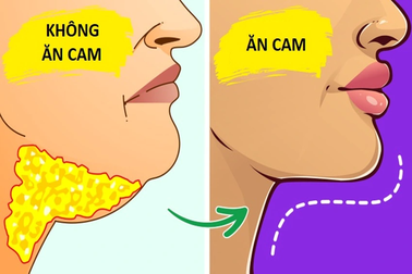 Điều gì xảy ra khi ăn 1 quả cam mỗi ngày?