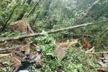 Động đất mạnh ở miền núi, người dân đồng bằng cảm nhận rung lắc