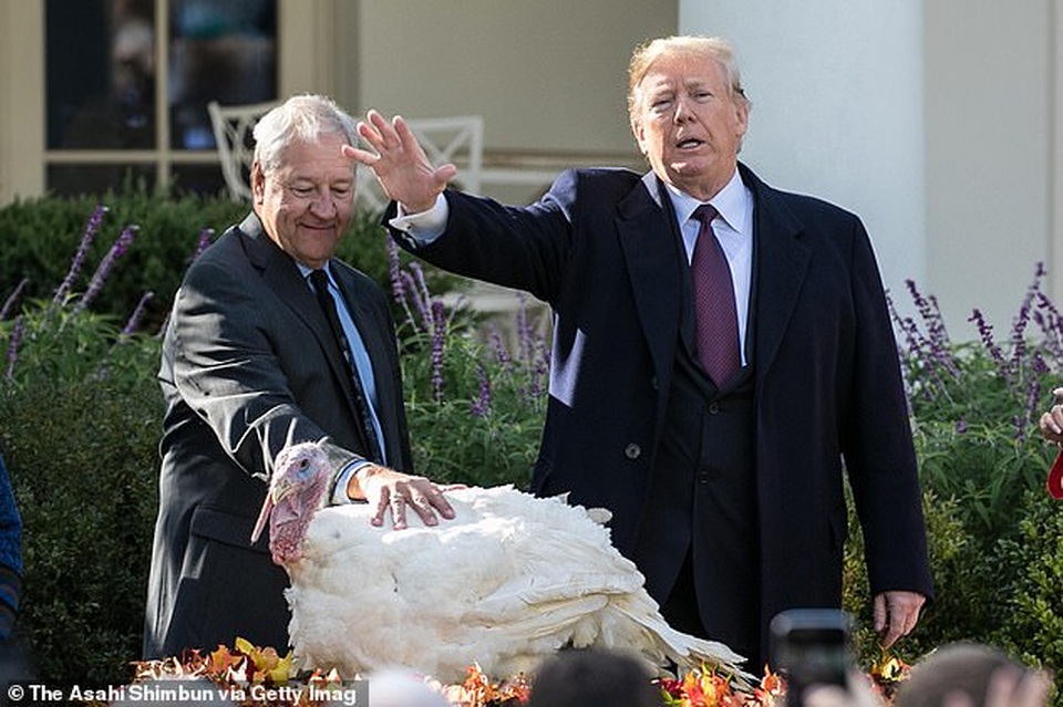 Câu nói đùa 2 năm trước của ông Trump bất ngờ nóng trở lại - 1 Câu nói đùa 2 năm trước của ông Trump bất ngờ nóng trở lại - 1
