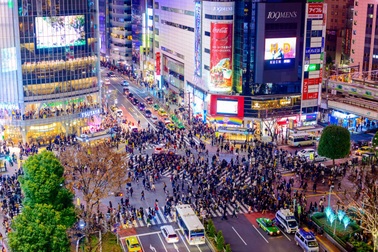Một ngày khám phá Shibuya và Shinjuku, hai quận nổi tiếng nhất của Tokyo