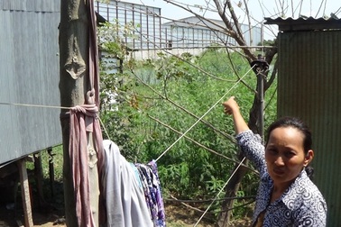 Hàng trăm hộ dân điêu đứng vì nhà máy xay xát lúa gạo