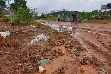 Tạm đình chỉ doanh nghiệp chế biến nông sản xả thải trực tiếp ra tỉnh lộ