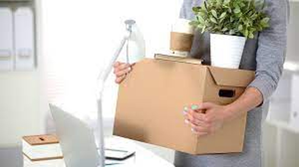 Rung đùi với việc ngàn đô, Tết đến nơi lại bị... sa thải - 1 Rung đùi với việc ngàn đô, Tết đến nơi lại bị... sa thải - 1
