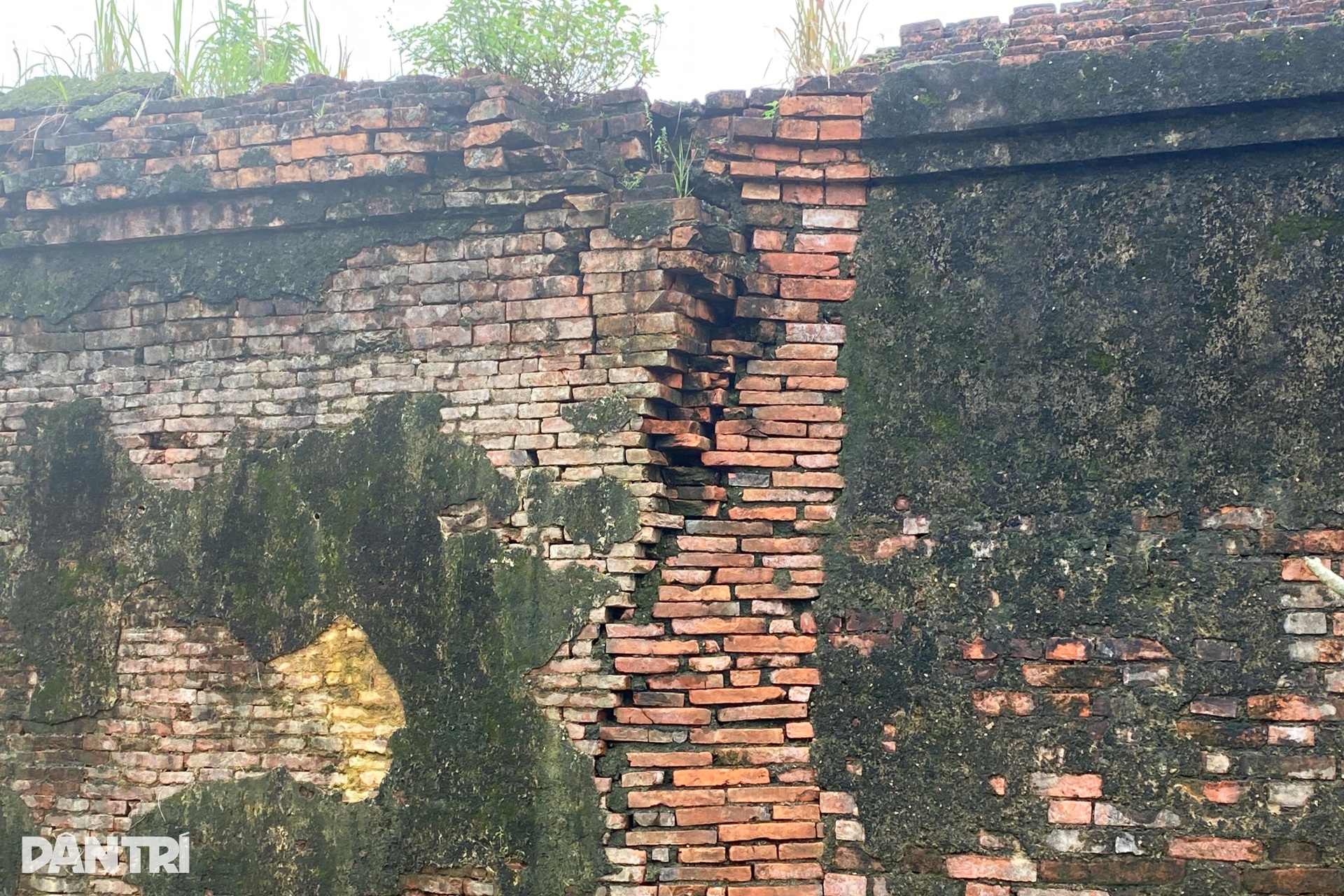 Cận cảnh đoạn tường đổ sập, cột gỗ ẩm mốc bên trong Hoàng thành Huế - 7 Cận cảnh đoạn tường đổ sập, cột gỗ ẩm mốc bên trong Hoàng thành Huế - 7