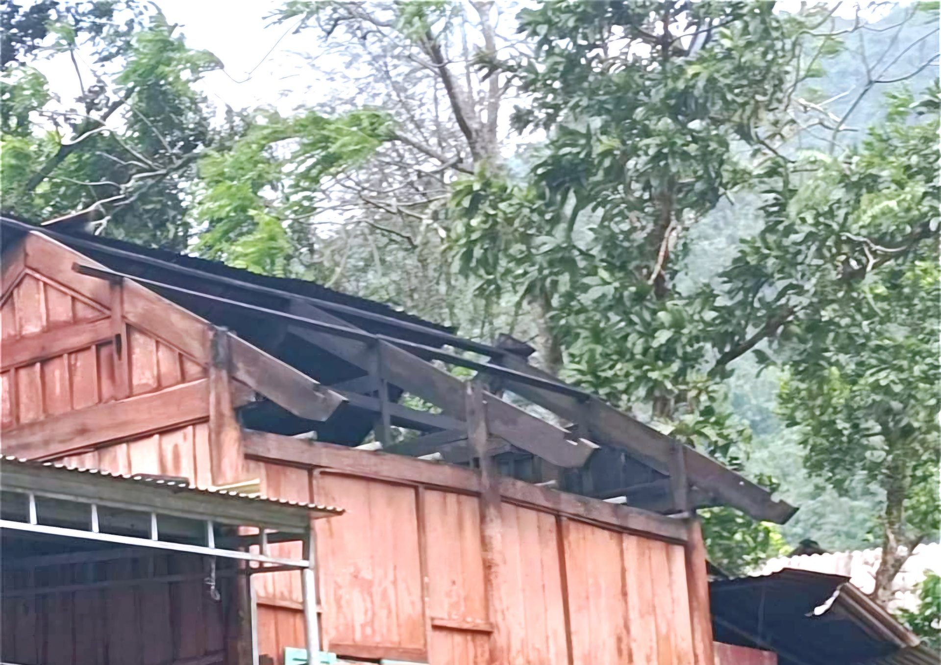 Lốc xoáy làm sập nhà, mái tôn bay lên cột điện ở huyện biên giới Nghệ An - 5 Lốc xoáy làm sập nhà, mái tôn bay lên cột điện ở huyện biên giới Nghệ An - 5