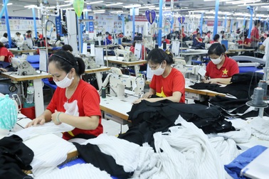 Có thỏa thuận về việc làm có trả lương là có giao kết hợp đồng lao động