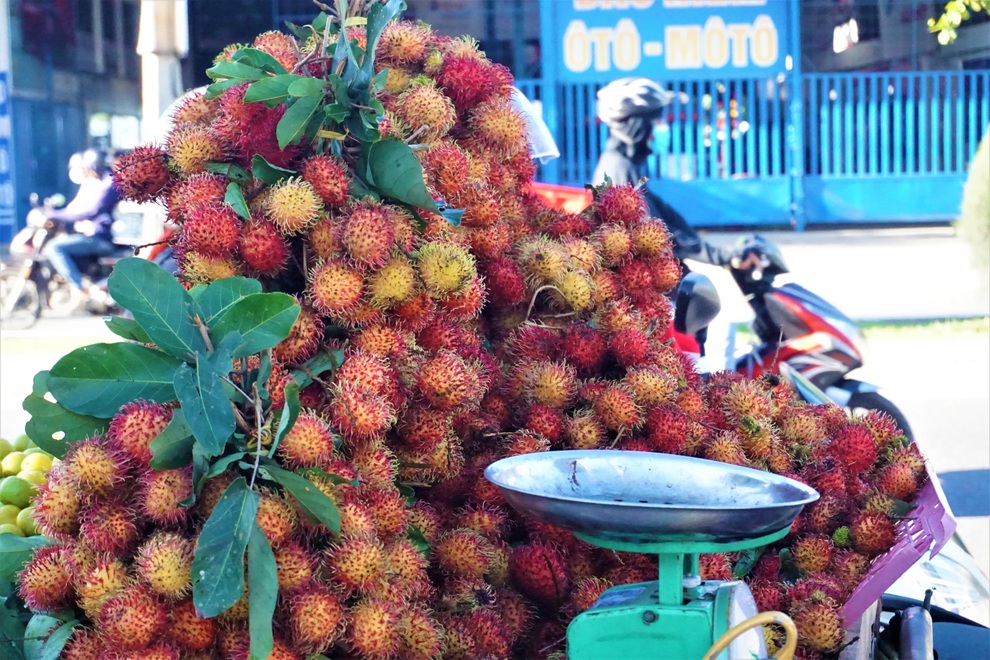 Tiểu thương than trái cây đầu vào đội giá do ảnh hưởng dịch Covid-19 - 5 Tiểu thương than trái cây đầu vào đội giá do ảnh hưởng dịch Covid-19 - 5