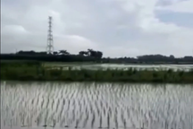 Hai phụ nữ ở Hà Nội bị sét đánh tử vong khi đi cấy thuê